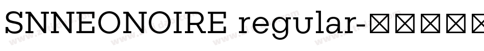 SNNEONOIRE regular字体转换
